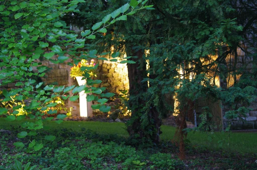Bed and Breakfast Le Logis Du Peu Girard La Roche-Clermault Zewnętrze zdjęcie