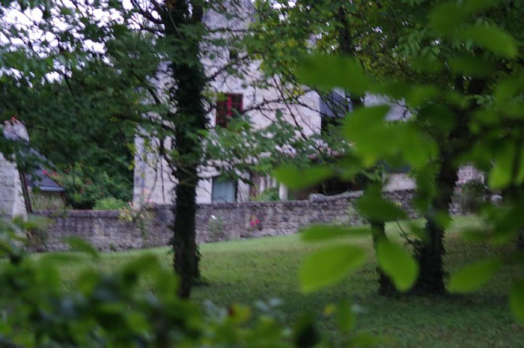 Bed and Breakfast Le Logis Du Peu Girard La Roche-Clermault Zewnętrze zdjęcie