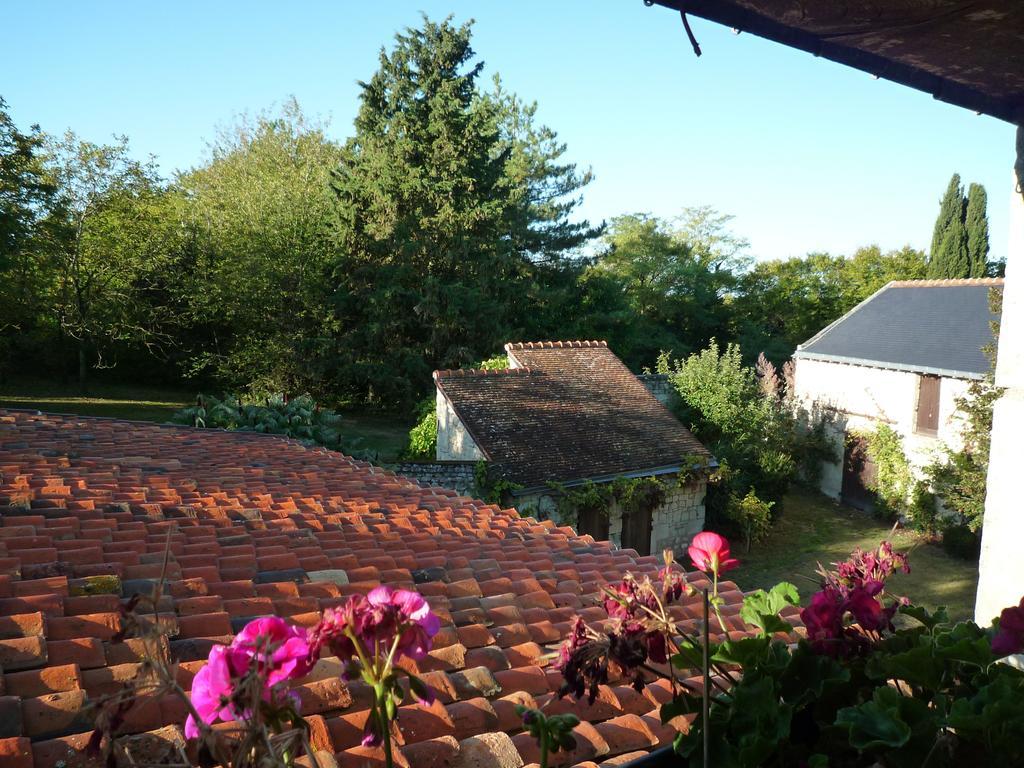 Bed and Breakfast Le Logis Du Peu Girard La Roche-Clermault Pokój zdjęcie
